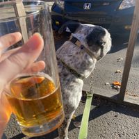 Craft local beer and a patio on the street at UCHU Sushi in Portland