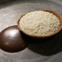 Yellow, Potts Point at Yellow in Sydney