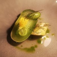 Baby Quirk Cucumber + Cucamelon + Ajo Blanco at Yellow in Sydney