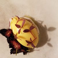 Yellow beetroot sorbet, meringue, mulberry.  Very interesting. at Yellow in Sydney