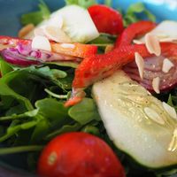 Toast comes with this delicious salad  at Earth Shop and Cafe in Carvoeiro