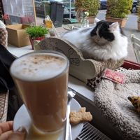 Chai latte with oat milk at Milou in Aachen