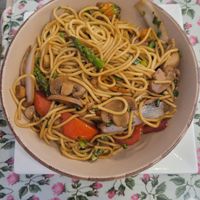 veggie fettuccine with soy sauce at Mamashana in Nazca