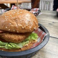   at The Hold in Manly