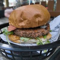  at The Hold in Manly