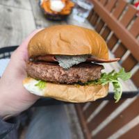  at The Hold in Manly