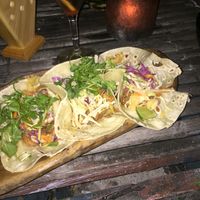 Veganized tacos at Mowie's  in 