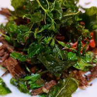 Spicy mushroom dish 😋 at Koko Thai & Vegetarian Cuisine in Bangkok