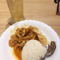 Vegetarian curry tofu / mushrooms with rice  at Koko Thai & Vegetarian Cuisine in Bangkok