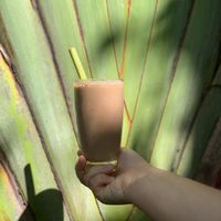 "choc tops" smoothie (v, gf) at The Shady Shack in Canggu