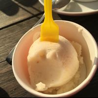 random scoop at Kontor Eismanufaktur in Greifswald