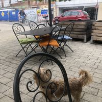 Dogs welcome! at Ich Bin So Frey in Landau
