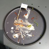 Ich war schneller als meine Kamera ;-) at Ich Bin So Frey in Landau