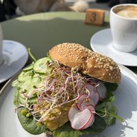 Dog ogling a pear and pesto bagel   at Kawiarnia Stragan in Poznan