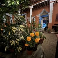   at Le Campane in Oaxaca