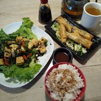 Salt and Pepper Tofu, House Springrolls #Veganuary at Veggie Village in Phoenix