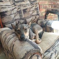  at Bocca Dolce in Western Cape