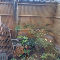 The Ramen was really delicious, for me personally, so far was the best ramen found in Kyoto, worth the waiting. Definitely will come back here again. at Vegan Ramen Towzen in Kyoto