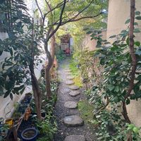  at Vegan Ramen Towzen in Kyoto