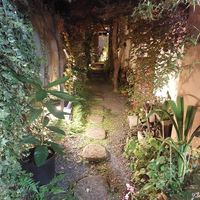  at Vegan Ramen Towzen in Kyoto