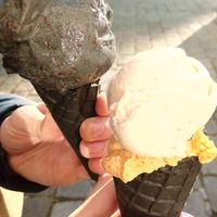 Forest fruits & Chestnut + pumpkin at Veganista Ice Cream III in Vienna