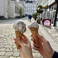 Cookies & Mohn  at Veganista Ice Cream III in Vienna