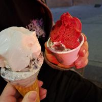 Kokos und Cookies in der Waffel, Black Forest und Himbeere im Becher at Veganista Ice Cream III in Vienna