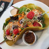 veggie wrap at Vibrance in Albuquerque