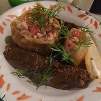 Dolma at Hummus in Delft