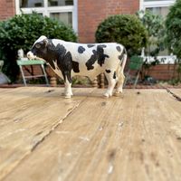   at Hommage in Cologne