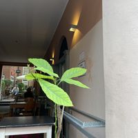 Outside seating  at Hommage in Cologne