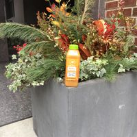 Juice from Juice Press at Juice Press - Grand Central Terminal in New York City
