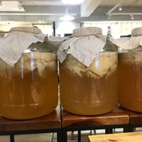 Fresh kombucha!  at Flourish 元禾食堂 - Yuán Hé ShíTáng in Taipei