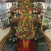  at Zizzi - Princes Square in Glasgow