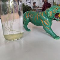 Toys to identify table at Cafe Frida in Trois-rivieres