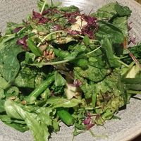 the Green plate, with fresh salad leaves,  brocolis, cannelini beans, sprouted seeds, pesto... at Zizzi in Nottingham