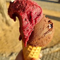 Blueberry and chocolate rum at Gelato Artigianale  in Prague
