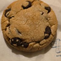  at Temple of Seitan - Hackney in East London