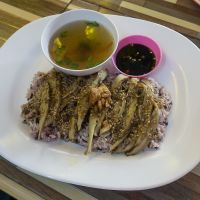 Vegan duck and rice at Jai Mai Jumjay in Chiang Mai