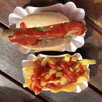 Vegan bratwurst & chips  at Curry at the Wall - Food Stand in Berlin