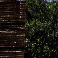 View  at Cinnamon Veggie in Cuernavaca