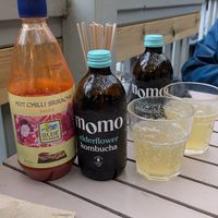 Momo kombucha at Chesters by the River in Skelwith Bridge