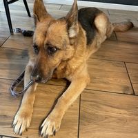   at Faloviec Kuchnia Roślinna in Gdansk