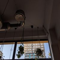 Inside at Faloviec Kuchnia Roślinna in Gdansk