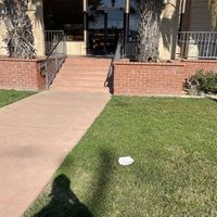 Outside of establishment (sadly lots of rubbish too)  at El Zarape in Yuba City