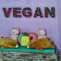 Nueva ubicación ✨ at Frambuesa Pastelería Vegan in Bogota