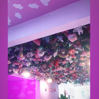 The ambiance was sooo cute!!  at Frambuesa Pastelería Vegan in Bogota