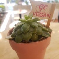 Table decoration at Frambuesa Pastelería Vegan in Bogota