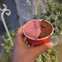 Vegan Dark Chocolate and Strawberry Sorbet  at Il Gelato di Bruno in Timisoara