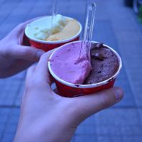 Some vegan flavors. Always ask, not all ice cream is vegan at Il Gelato di Bruno in Timisoara